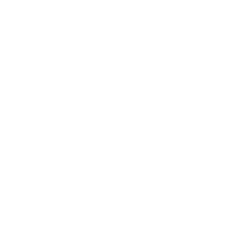 Icon SOA